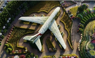 Miracle Garden Timings